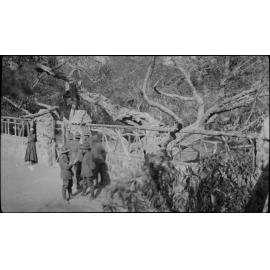 Soldiers, possibly at gardens