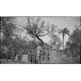 Soldiers, possibly at gardens