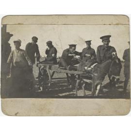 'The start for the trotting cup. In this case it was no start'