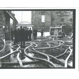 "Hoses Like Snakes"