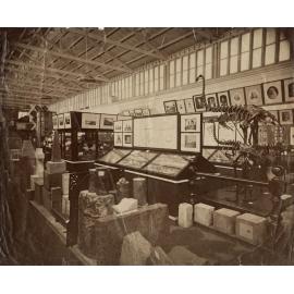 Museum or exhibition interior