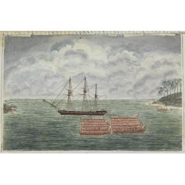 'Bayly's ship with native canoes' , the St Patrick anchored in the Thames River