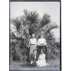Group of four in front of palm tree