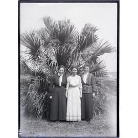Annie James, Annie McEwan, Annie Hancock, and palm tree