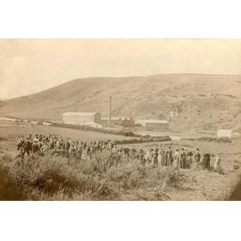 Roslyn Woollen Mills?