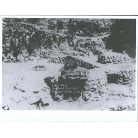 Lions' Den, Auckland Zoo, N.Z.
