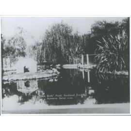 "Vain Birds" Pond