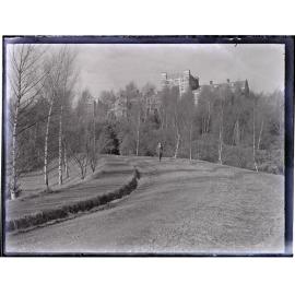 Driveway and trees leading to Knox College, Dunedin