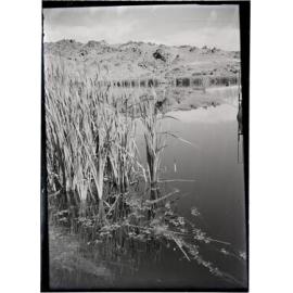 Rushes, lake, and rocky hillside [Central Otago?]