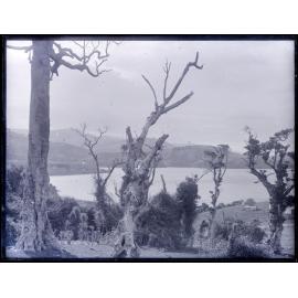 Harbour view, probably near Port Chalmers