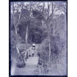 Girl in a straw hat standing on a rustic bridge in the Woodhaugh Reserve