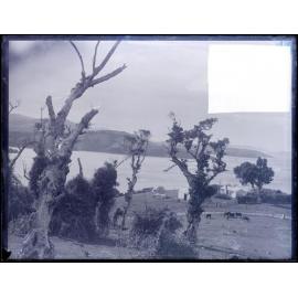 Rural and harbour view, including horses and farmhouse, probably Lower Otago Harbour