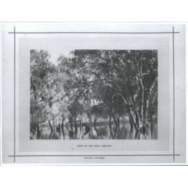 Scene on the River Campaspe