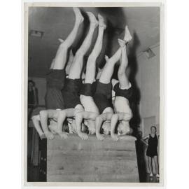 Five men doing headstands on a vaulting horse