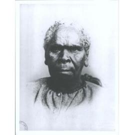 Patty "The ring-tailed Opossum"