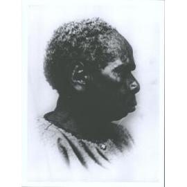 Patty the ring-tailed opossum