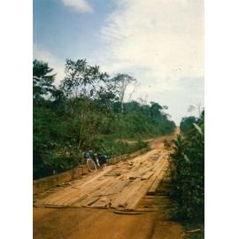 'Amazon Jungle. 1978. What bridges!'