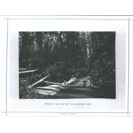 Junction at the River Watt and Contentment Creek