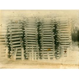 Cricket bats in 'Draper's yard, presumably at Mornington'