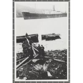 Loading firewood onto barges at Carnley Harbour, S.S. Erlangen at anchor in background