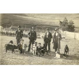 Mt Arum, showing men and boys with dogs, sheep in the background