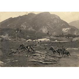 Horses and logs, with Aspinall's Cottage and Johnson's Otago Hotel in the background