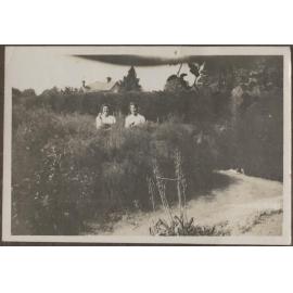 Asparagus bed at Te Wai Pounamu College