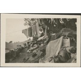 'Taylor's Hollow ANZAC'