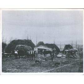 Horse-driven Chaff Cutter, Bald Hill flat