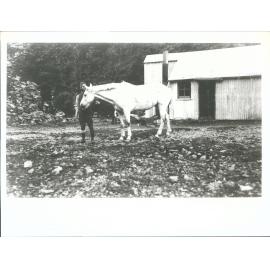 Jos McGeorge at Ball Hutt