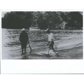 Swordfish caught at Bay of Islands, NZ