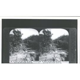 The track up the Bealey Gorge, NZ