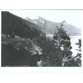 Terrace of the Bealey, West Coast Road