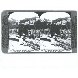 After a snowstorm on the hills, New Zealand.