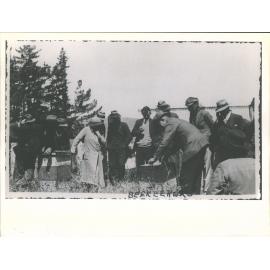 Beekeepers