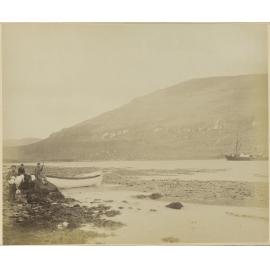 Albatross Hunter, N.E. Harbour, Campbell Island