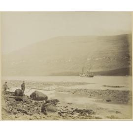 N.E. Harbour, Campbell Island