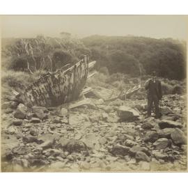 Wreck of the 'Grafton', Epigwaitt, Aucklands
