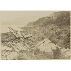 Wreck of the 'Grafton', Epigwaitt, Aucklands