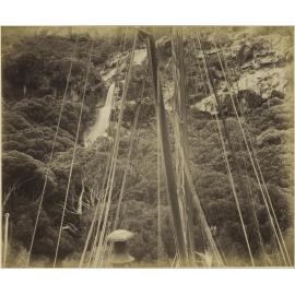 'Stella' watering, Cascade Inlet, Aucklands