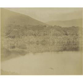 Sarah's Bosom, Auckland Island