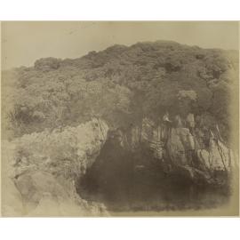 Cave on Snares Island