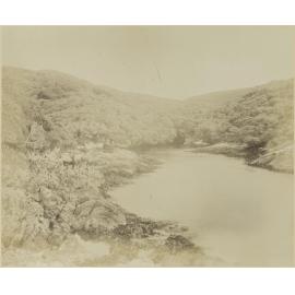 The Snares Island, Boat Harbour