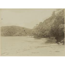Wilson's Bay, Boat Harbour, Stewart Island