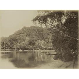 Wilson's Bay, Boat Harbour, Stewart Island