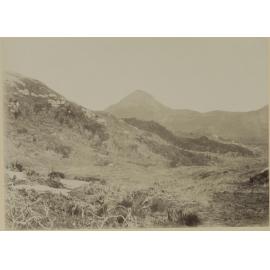 Fraser Peak (1400ft) Stewart Island