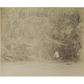 Natural Tunnel, Stewart Island
