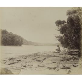 Evening Cove, Port Pegasus, Stewart Island