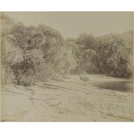Evening Cove, Port Pegasus, Stewart Island