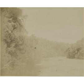 Lord's River, Stewart Island